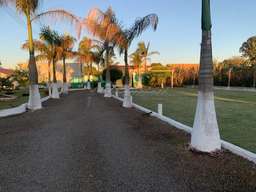 Chácara com 3 quartos à venda, 730m2 em Enxovia, Tatui - SP - imagem 6 Foto 6 de Chácara com 3 quartos à venda, 730m2 em Enxovia, Tatui - SP