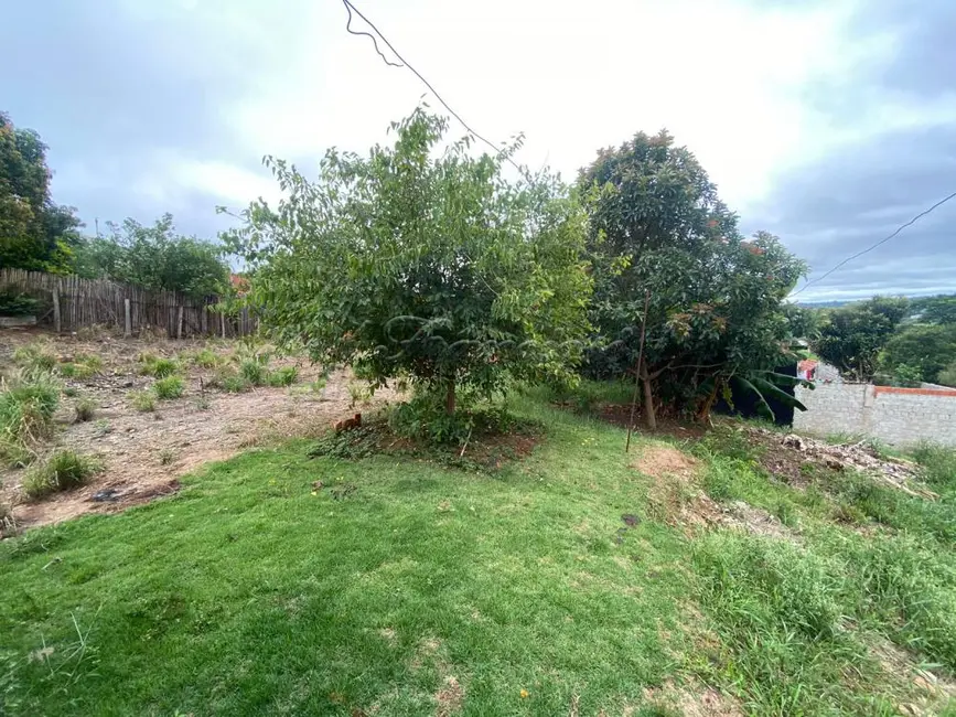 Casa com 3 quartos à venda, 303m2 em Vila Belo Horizonte, Itapetininga - SP - imagem 9 Foto 9 de Casa com 3 quartos à venda, 303m2 em Vila Belo Horizonte, Itapetininga - SP