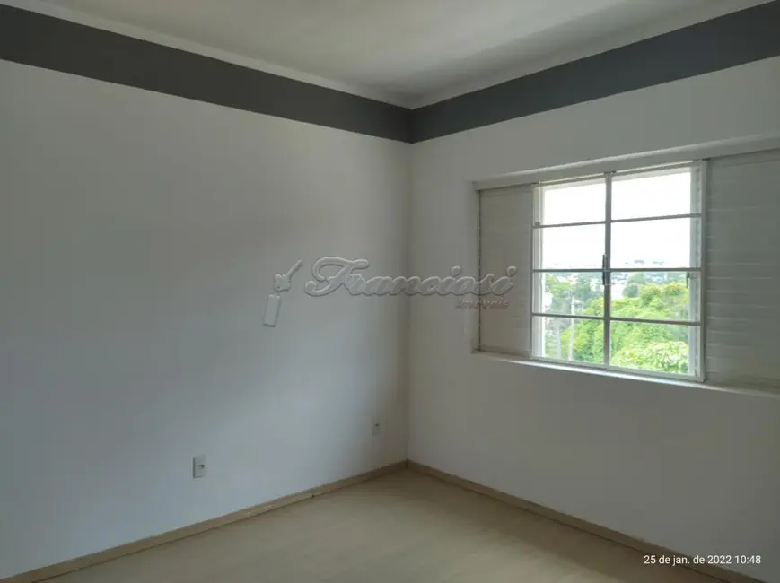 Loja com 3 quartos à venda, 300m2 em Vila Maria, Itapetininga - SP - imagem 7 Foto 7 de Loja com 3 quartos à venda, 300m2 em Vila Maria, Itapetininga - SP