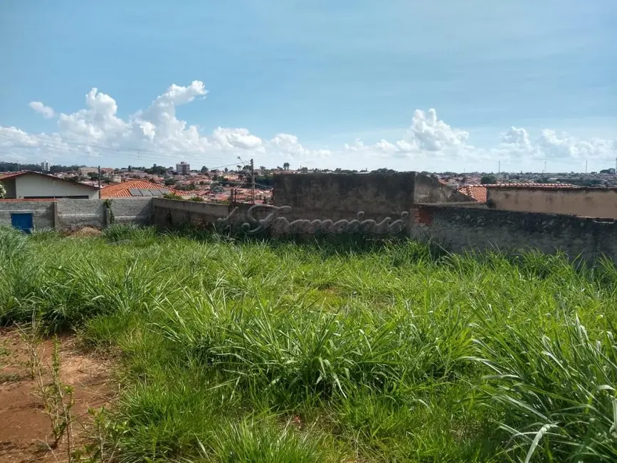 Foto 3 de Fazenda / Haras à venda, 400m2 em Vila Rosa, Itapetininga - SP