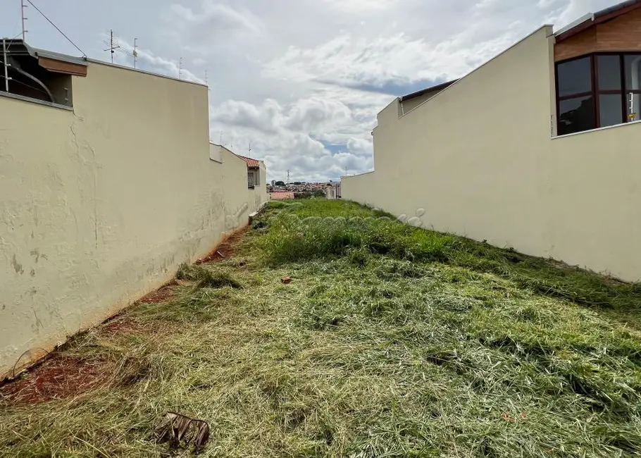 Foto 2 de Fazenda / Haras à venda, 480m2 em Vila Barth, Itapetininga - SP