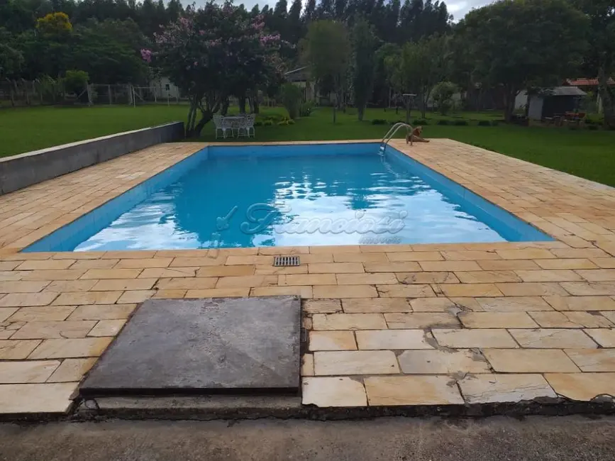 Fazenda / Haras com 5 quartos à venda, 1000m2 em Alambari - SP - imagem 7 Foto 7 de Fazenda / Haras com 5 quartos à venda, 1000m2 em Alambari - SP