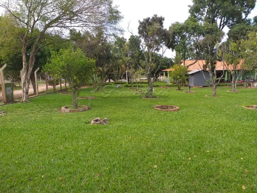 Fazenda / Haras com 5 quartos à venda, 1000m2 em Alambari - SP - imagem 9 Foto 9 de Fazenda / Haras com 5 quartos à venda, 1000m2 em Alambari - SP