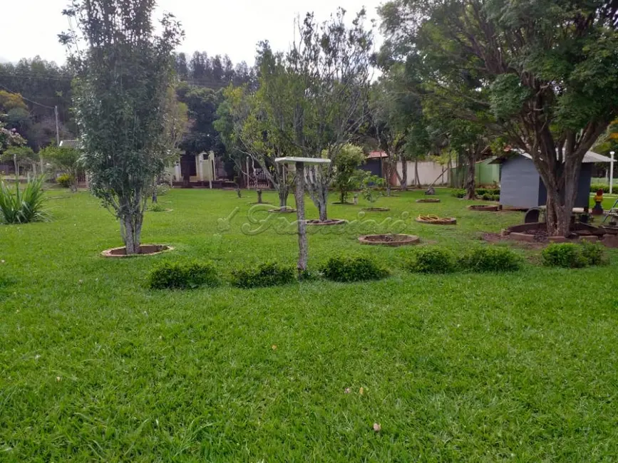 Fazenda / Haras com 5 quartos à venda, 1000m2 em Alambari - SP - imagem 4 Foto 4 de Fazenda / Haras com 5 quartos à venda, 1000m2 em Alambari - SP