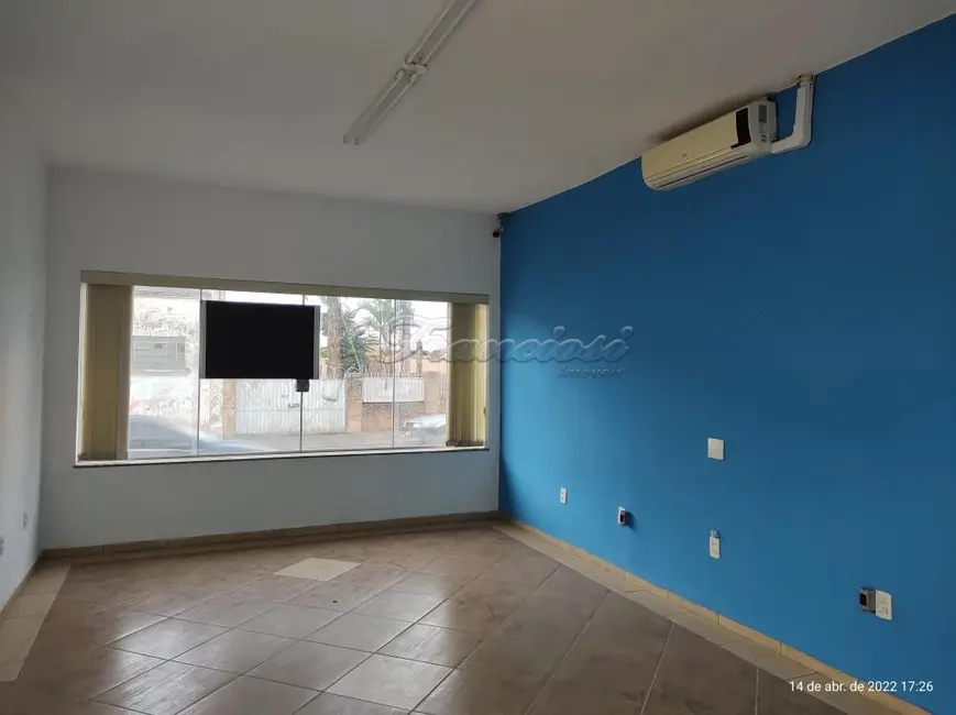 Loja para alugar, 247m2 em Centro, Itapetininga - SP - imagem 3 Foto 3 de Loja para alugar, 247m2 em Centro, Itapetininga - SP