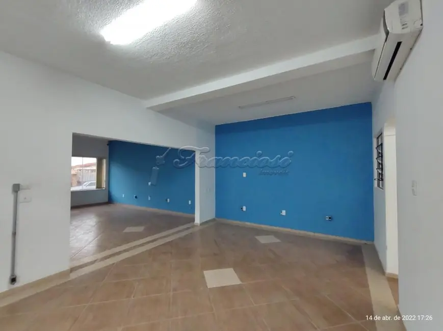 Loja para alugar, 247m2 em Centro, Itapetininga - SP - imagem 6 Foto 6 de Loja para alugar, 247m2 em Centro, Itapetininga - SP