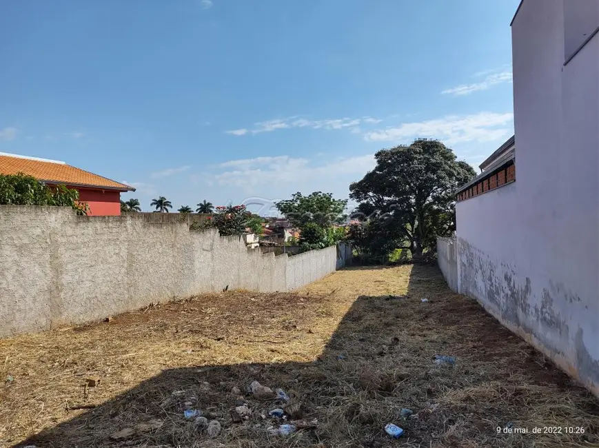 Foto 2 de Fazenda / Haras à venda, 250m2 em Jardim Bela Vista, Itapetininga - SP