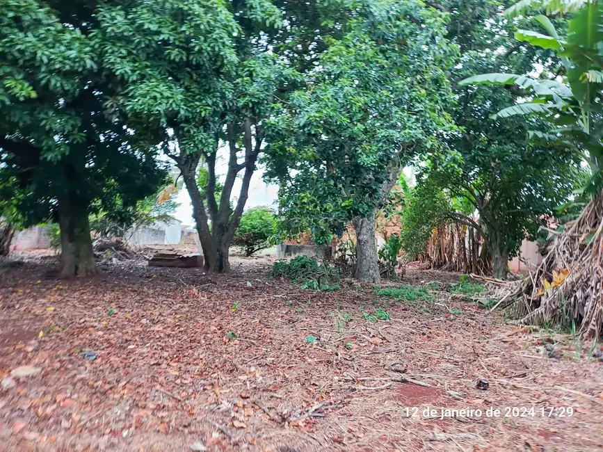 Foto 3 de Fazenda / Haras à venda, 3677m2 em Vila Judite, Itapetininga - SP