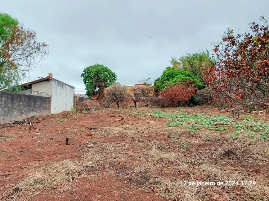 Foto 5 de Fazenda / Haras à venda, 3677m2 em Vila Judite, Itapetininga - SP