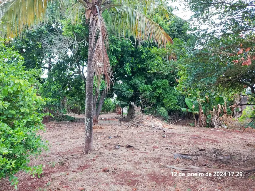 Foto 6 de Fazenda / Haras à venda, 3677m2 em Vila Judite, Itapetininga - SP