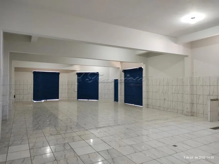 Foto 5 de Sala Comercial para alugar, 220m2 em Parque São Bento, Itapetininga - SP