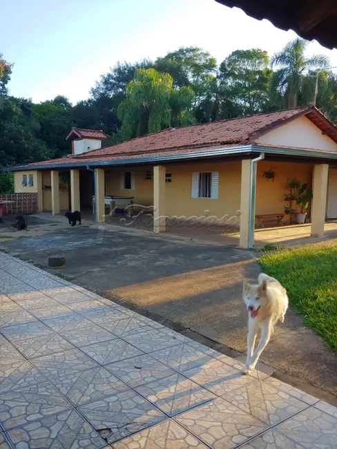 Fazenda / Haras à venda, 350m2 em Centro, Angatuba - SP - imagem 7 Foto 7 de Fazenda / Haras à venda, 350m2 em Centro, Angatuba - SP