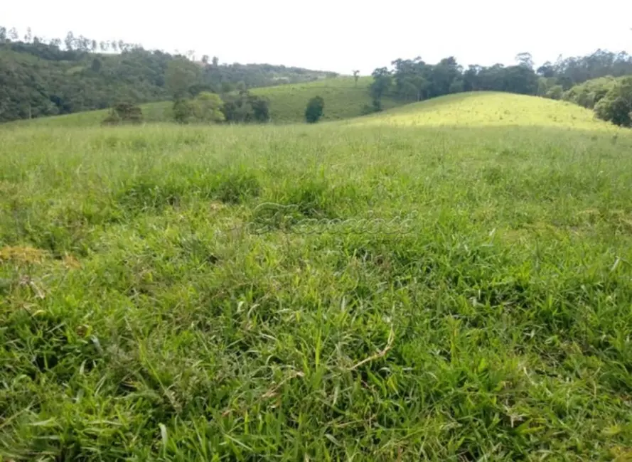 Foto 4 de Fazenda / Haras à venda, 38720m2 em Guapiara - SP