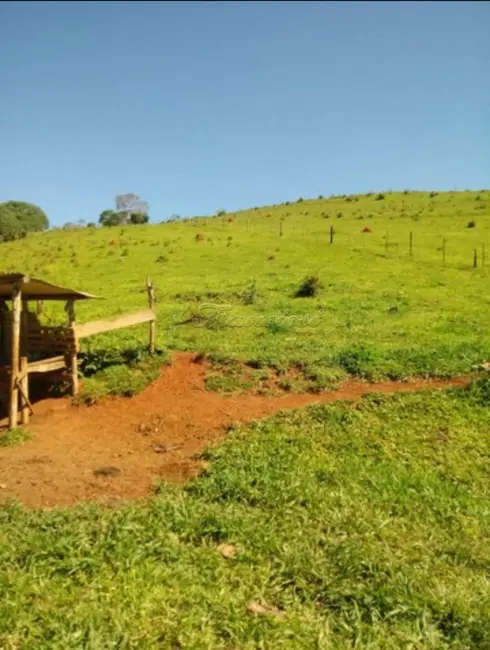 Foto 5 de Fazenda / Haras à venda, 38720m2 em Guapiara - SP
