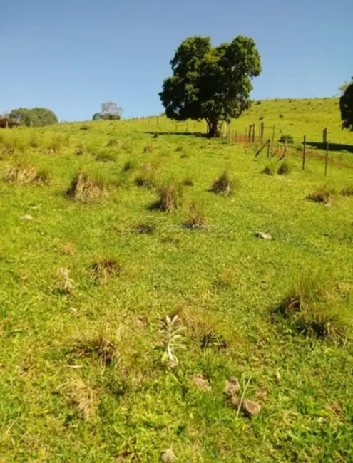 Foto 2 de Fazenda / Haras à venda, 38720m2 em Guapiara - SP