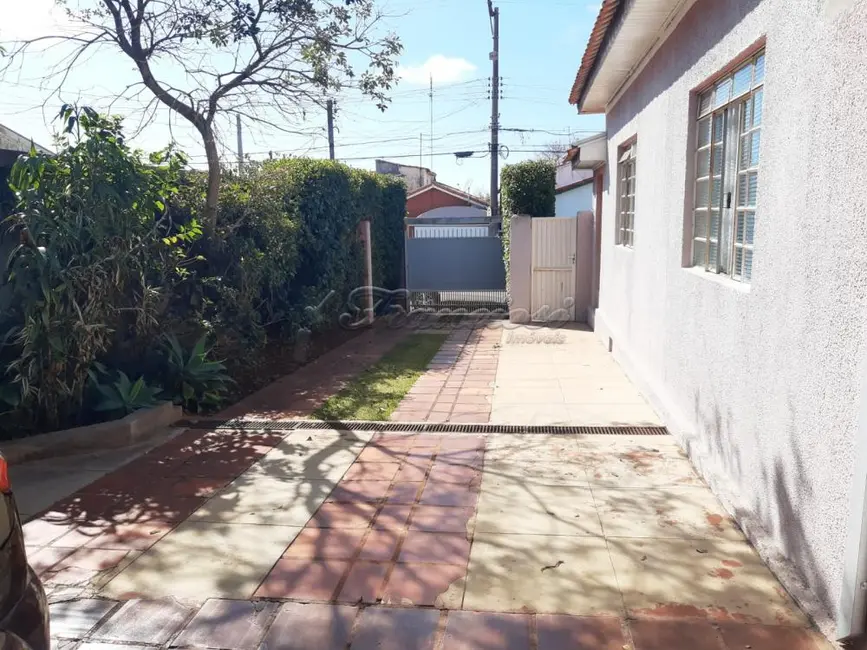 Casa com 3 quartos à venda, 614m2 em Vila Nova, Itapetininga - SP - imagem 7 Foto 7 de Casa com 3 quartos à venda, 614m2 em Vila Nova, Itapetininga - SP