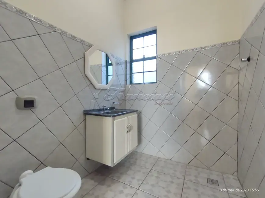 Loja com 3 quartos para alugar, 163m2 em Centro, Itapetininga - SP - imagem 7 Foto 7 de Loja com 3 quartos para alugar, 163m2 em Centro, Itapetininga - SP