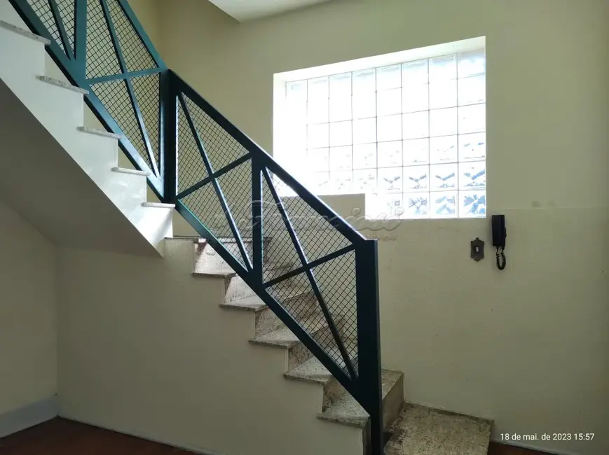 Loja com 3 quartos para alugar, 163m2 em Centro, Itapetininga - SP - imagem 8 Foto 8 de Loja com 3 quartos para alugar, 163m2 em Centro, Itapetininga - SP