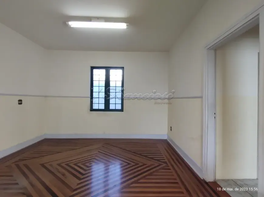 Loja com 3 quartos para alugar, 163m2 em Centro, Itapetininga - SP - imagem 5 Foto 5 de Loja com 3 quartos para alugar, 163m2 em Centro, Itapetininga - SP