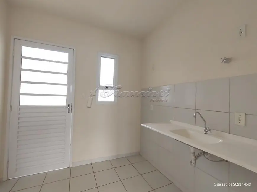 Casa com 2 quartos para alugar, 45m2 em Itapetininga - SP - imagem 4 Foto 4 de Casa com 2 quartos para alugar, 45m2 em Itapetininga - SP