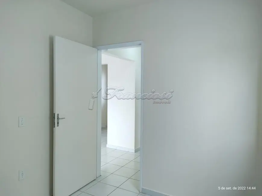 Casa com 2 quartos para alugar, 45m2 em Itapetininga - SP - imagem 7 Foto 7 de Casa com 2 quartos para alugar, 45m2 em Itapetininga - SP
