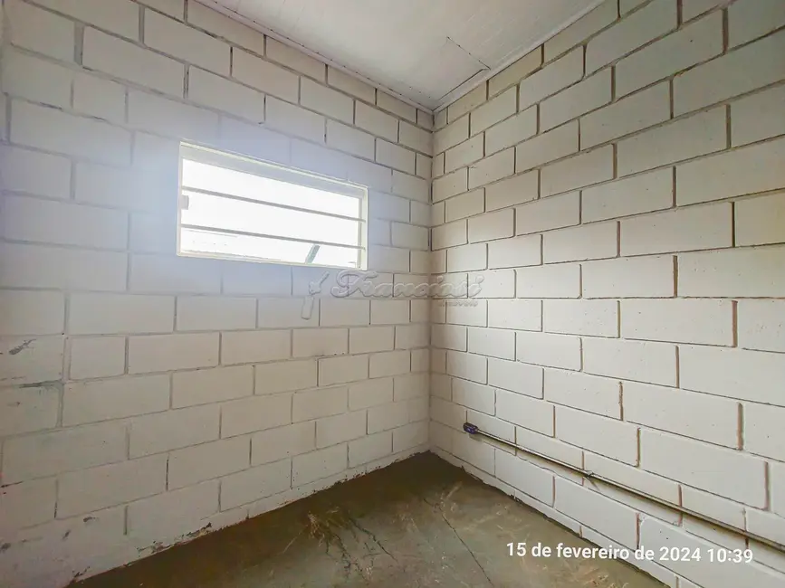 Sala Comercial para alugar, 74m2 em Vila Carolina, Itapetininga - SP - imagem 6 Foto 6 de Sala Comercial para alugar, 74m2 em Vila Carolina, Itapetininga - SP