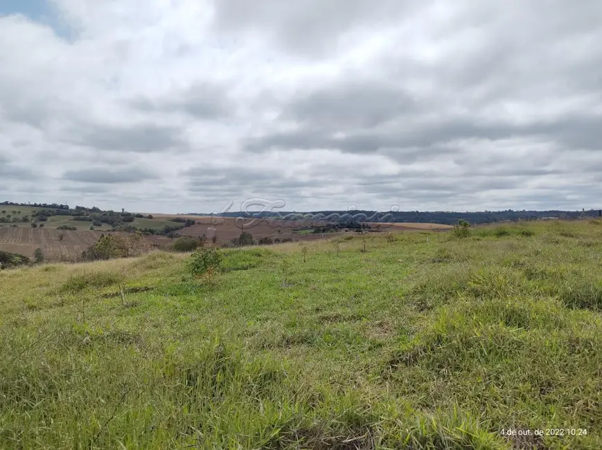Foto 1 de Fazenda / Haras à venda, 12960m2 em Vila Belo Horizonte, Itapetininga - SP