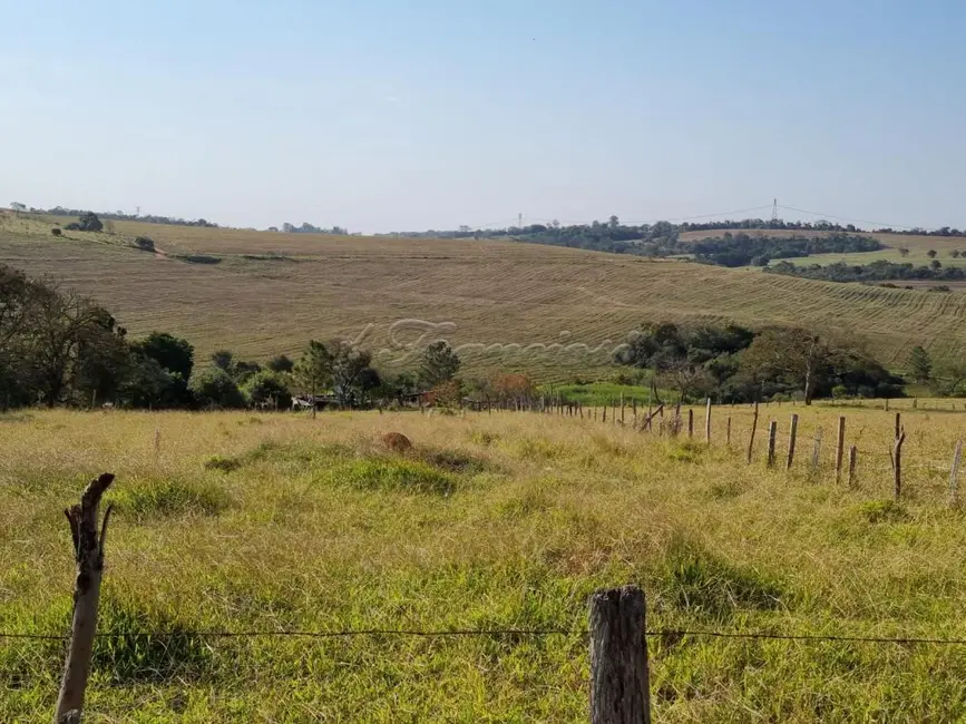 Fazenda / Haras à venda, 12960m2 em Vila Belo Horizonte, Itapetininga - SP - imagem 5 Foto 5 de Fazenda / Haras à venda, 12960m2 em Vila Belo Horizonte, Itapetininga - SP