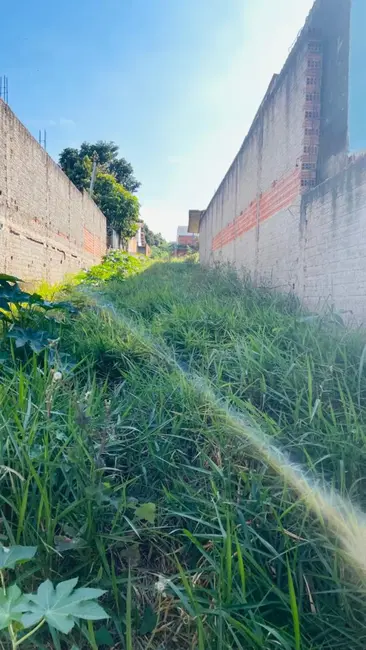 Foto 2 de Fazenda / Haras à venda, 375m2 em Vila Mazzei, Itapetininga - SP