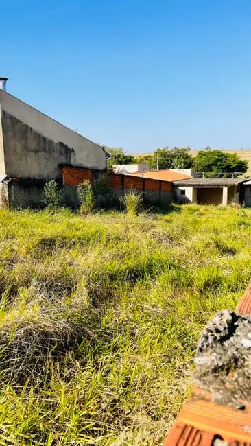 Foto 3 de Fazenda / Haras à venda, 375m2 em Vila Mazzei, Itapetininga - SP