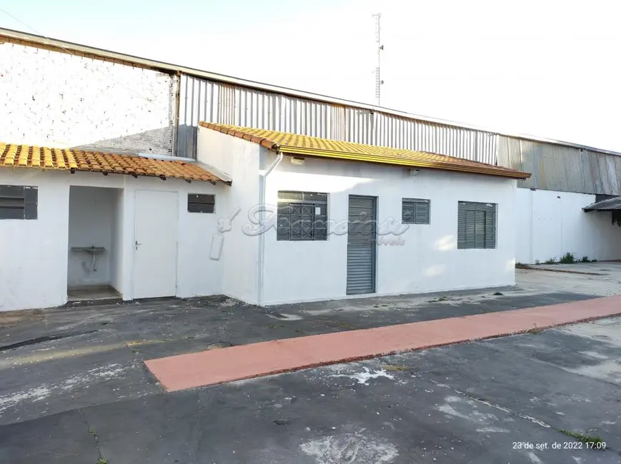 Fazenda / Haras à venda, 323m2 em Vila Aparecida, Itapetininga - SP - imagem 1 Foto 1 de Fazenda / Haras à venda, 323m2 em Vila Aparecida, Itapetininga - SP