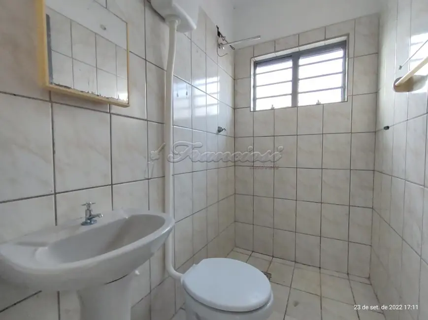 Fazenda / Haras à venda, 323m2 em Vila Aparecida, Itapetininga - SP - imagem 9 Foto 9 de Fazenda / Haras à venda, 323m2 em Vila Aparecida, Itapetininga - SP