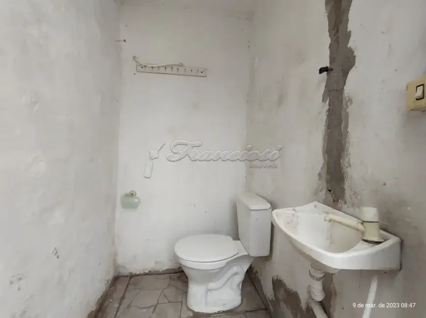 Foto 4 de Fazenda / Haras para alugar, 272m2 em Centro, Itapetininga - SP