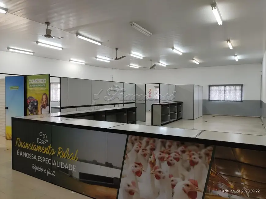 Foto 5 de Prédio Inteiro para alugar, 200m2 em Centro, Itapetininga - SP