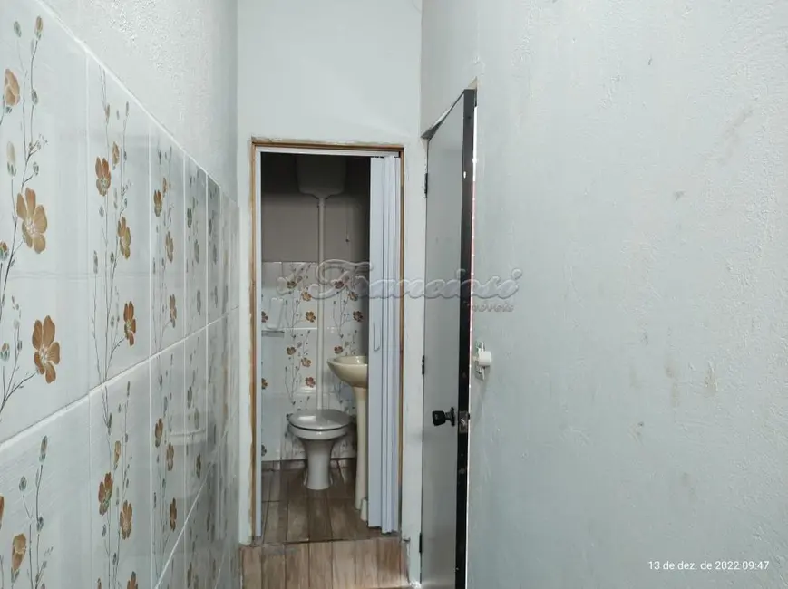 Prédio Inteiro para alugar, 36m2 em Centro, Itapetininga - SP - imagem 4 Foto 4 de Prédio Inteiro para alugar, 36m2 em Centro, Itapetininga - SP