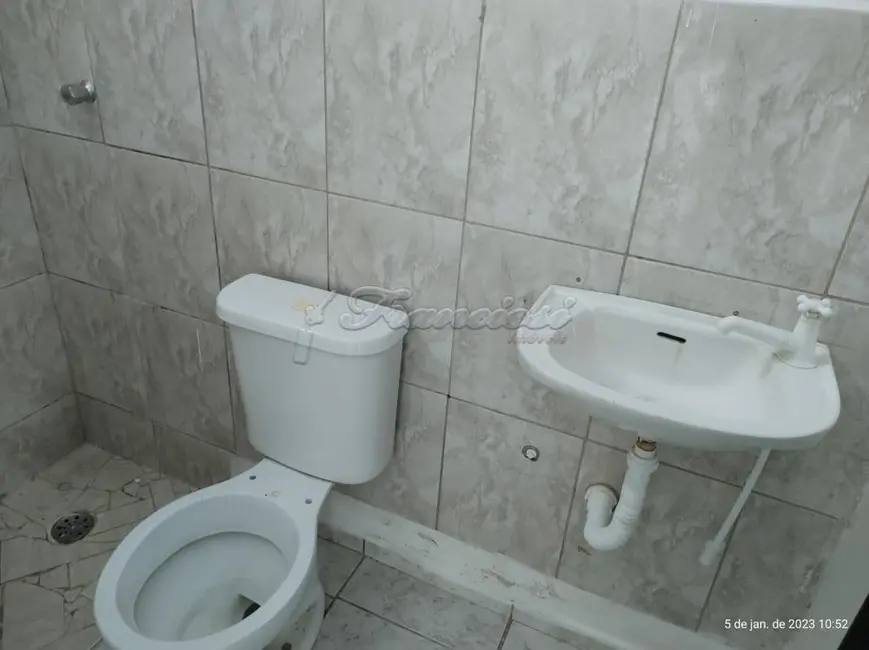 Kitnet com 1 quarto para alugar, 22m2 em Centro, Itapetininga - SP - imagem 5 Foto 5 de Kitnet com 1 quarto para alugar, 22m2 em Centro, Itapetininga - SP