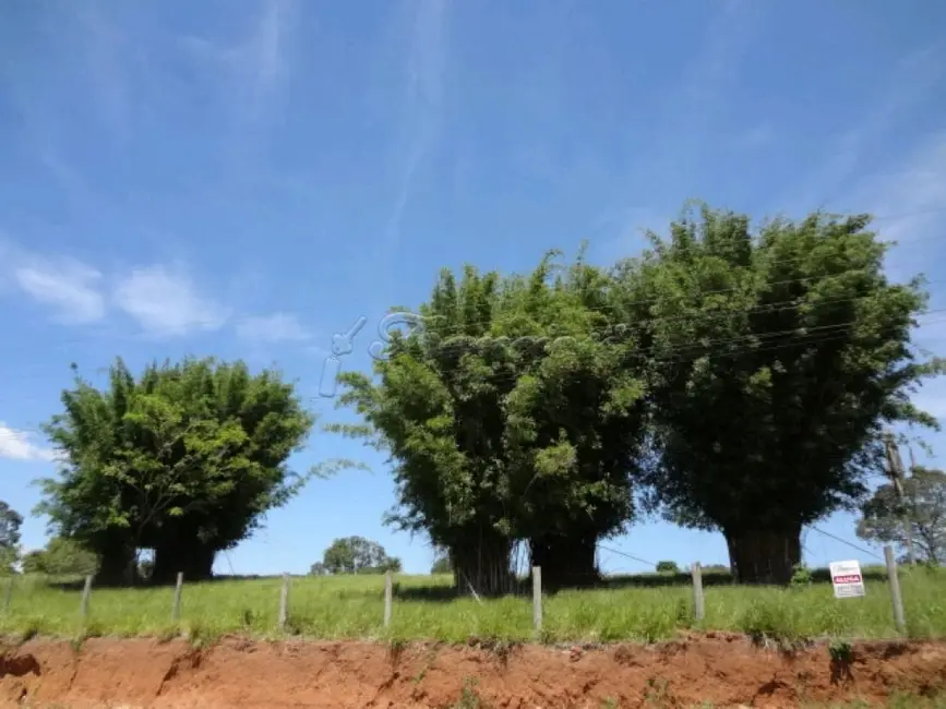 Foto 3 de Fazenda / Haras para alugar, 3000m2 em Estância Conceição, Itapetininga - SP