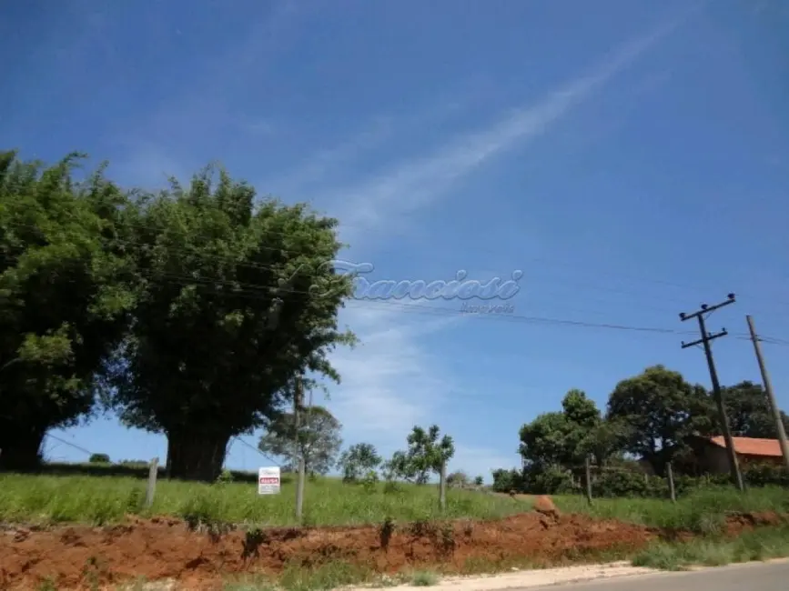 Foto 4 de Fazenda / Haras para alugar, 3000m2 em Estância Conceição, Itapetininga - SP