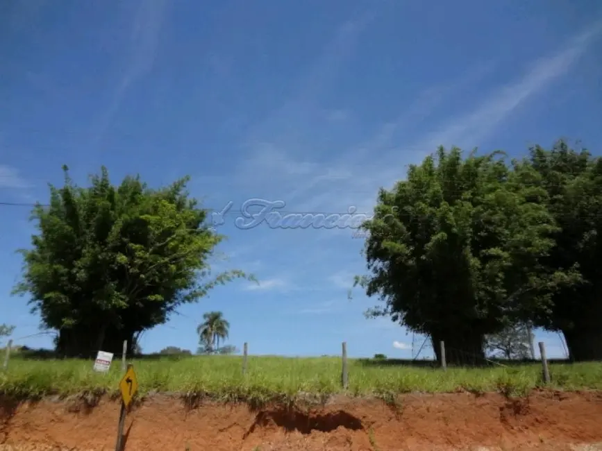 Foto 1 de Fazenda / Haras para alugar, 3000m2 em Estância Conceição, Itapetininga - SP