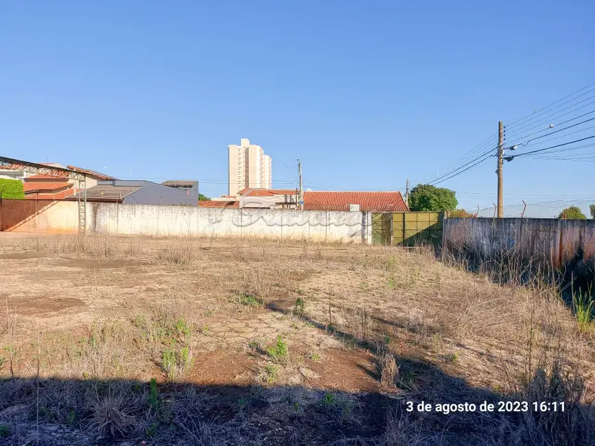 Foto 7 de Fazenda / Haras para alugar, 2370m2 em Vila Kalil Halak, Itapetininga - SP