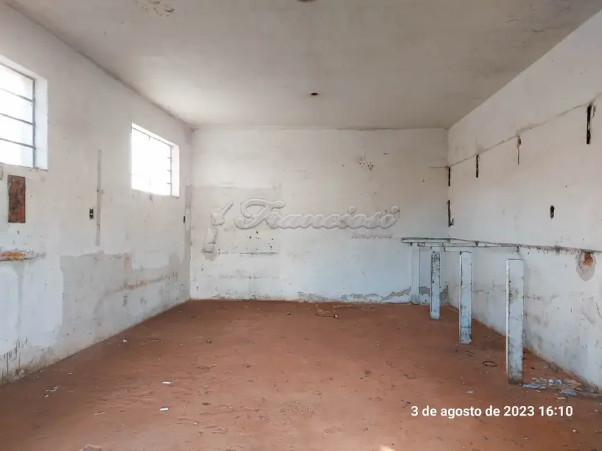 Foto 5 de Fazenda / Haras para alugar, 2370m2 em Vila Kalil Halak, Itapetininga - SP