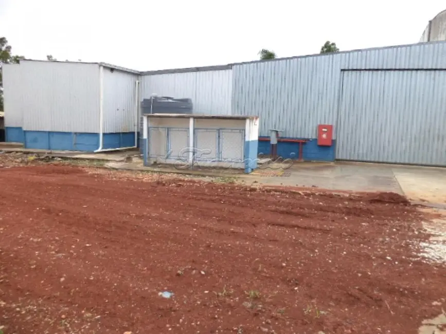 Foto 3 de Sala Comercial com 2 quartos à venda, 1500m2 em Vila Sottemo, Itapetininga - SP