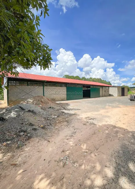 Fazenda / Haras com 1 quarto à venda, 300m2 em Itapetininga - SP - imagem 3 Foto 3 de Fazenda / Haras com 1 quarto à venda, 300m2 em Itapetininga - SP