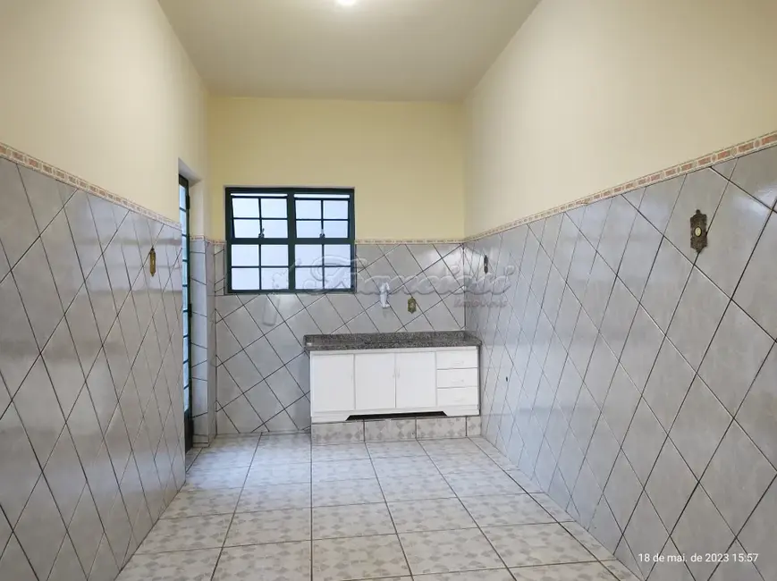 Loja com 3 quartos à venda, 163m2 em Centro, Itapetininga - SP - imagem 9 Foto 9 de Loja com 3 quartos à venda, 163m2 em Centro, Itapetininga - SP