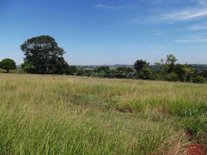 Foto 9 de Fazenda / Haras com 3 quartos à venda, 72000m2 em Itapetininga - SP