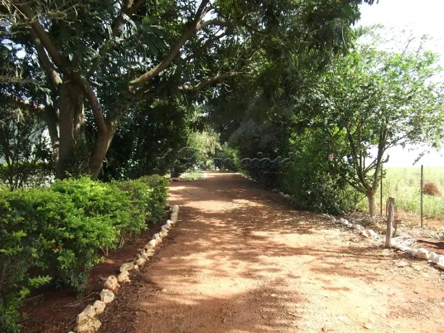 Foto 2 de Fazenda / Haras com 3 quartos à venda, 72000m2 em Itapetininga - SP