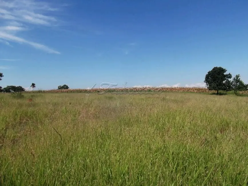 Foto 8 de Fazenda / Haras com 3 quartos à venda, 72000m2 em Itapetininga - SP