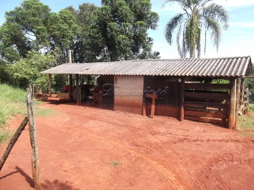 Foto 3 de Fazenda / Haras com 3 quartos à venda, 72000m2 em Itapetininga - SP