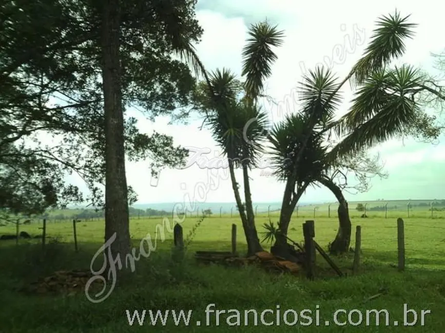 Fazenda / Haras à venda, 266200m2 em Chapada Grande, Itapetininga - SP - imagem 7 Foto 7 de Fazenda / Haras à venda, 266200m2 em Chapada Grande, Itapetininga - SP