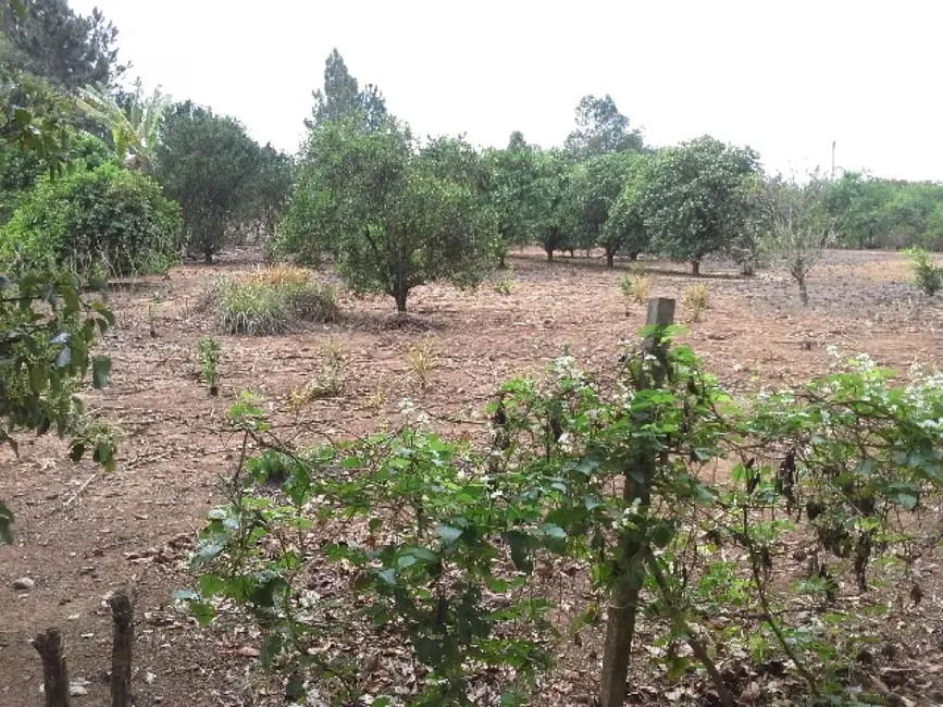 Fazenda / Haras com 2 quartos à venda, 13272m2 em Itapetininga - SP - imagem 9 Foto 9 de Fazenda / Haras com 2 quartos à venda, 13272m2 em Itapetininga - SP